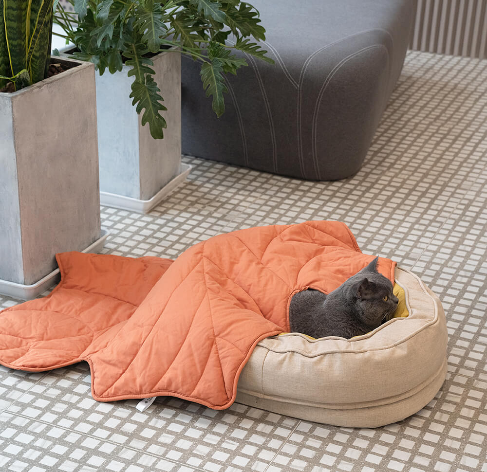 Donut Orthopädisches Hundebett
