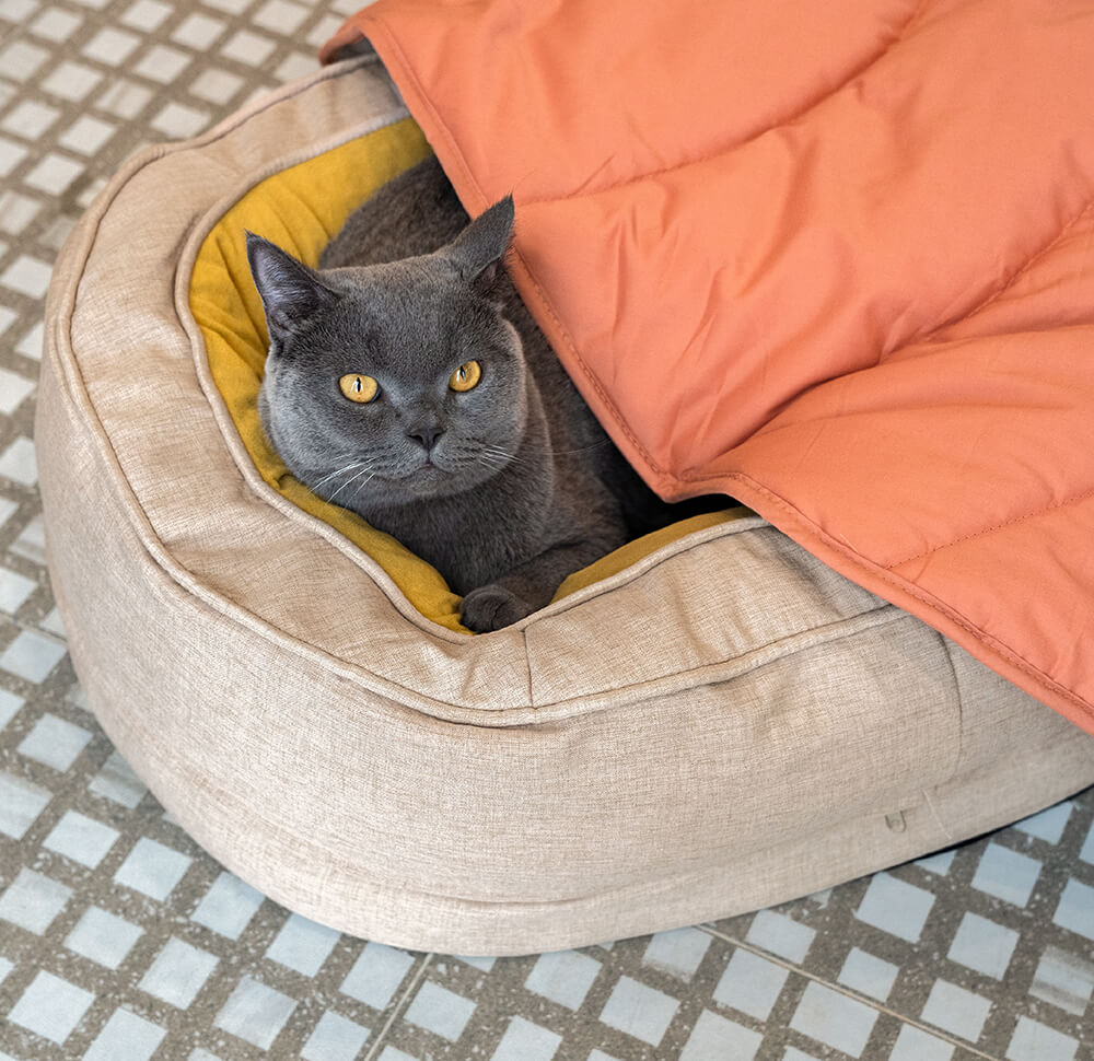 Donut Orthopädisches Hundebett