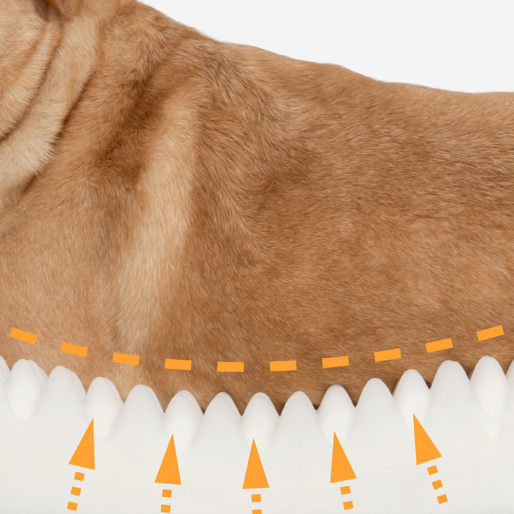Donut Orthopädisches Hundebett