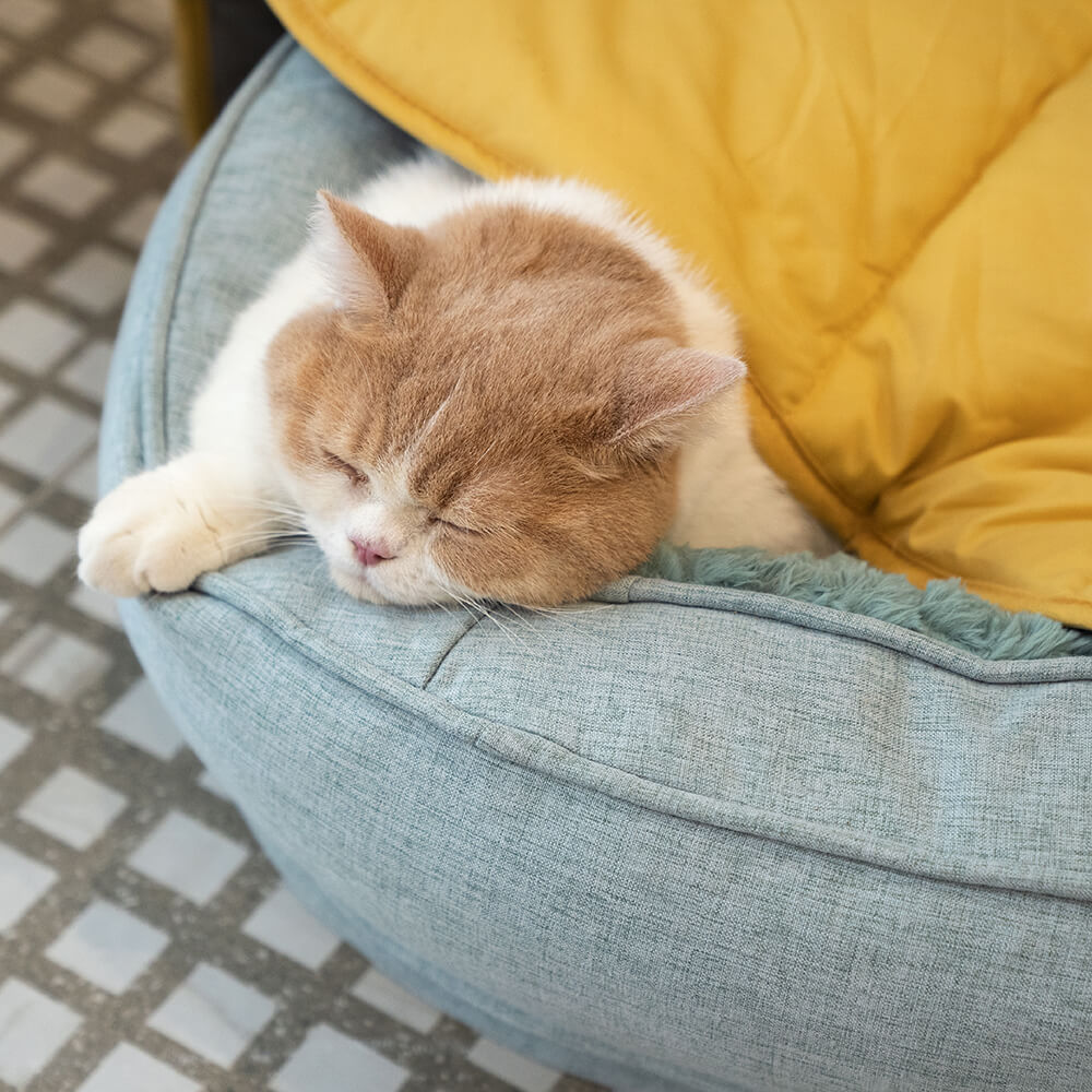 Donut Orthopädisches Hundebett