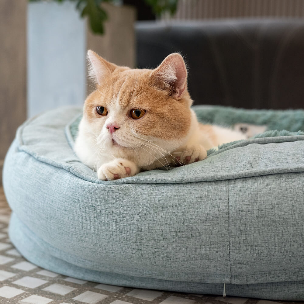 Donut Orthopädisches Hundebett