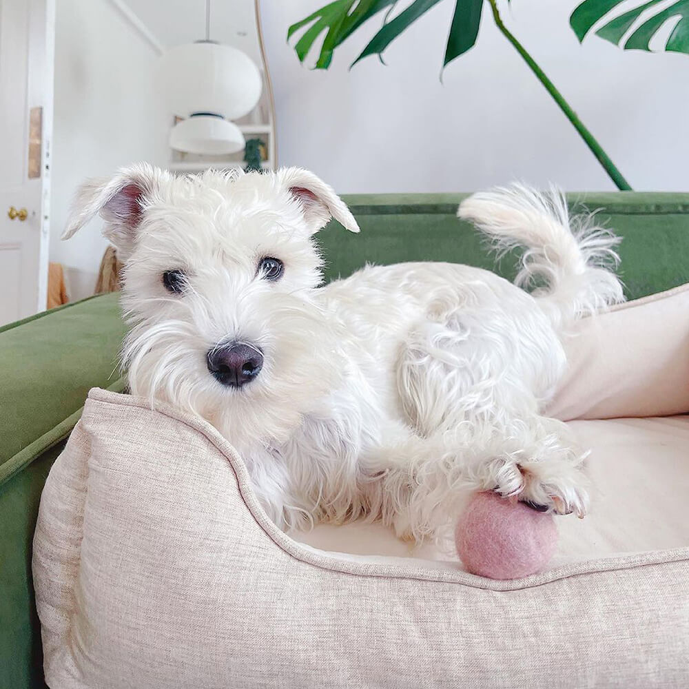 Bettüberwurf - Quadratisches Brot Hundebett