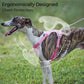Komplette Kontrolle Bequemes No-Pull Hundegeschirr und Leinen-Set