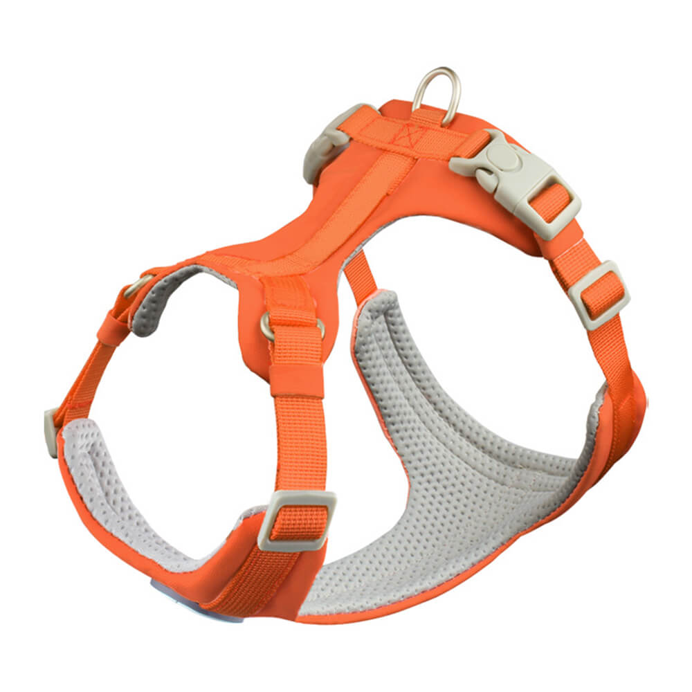 Komplette Kontrolle Bequemes No-Pull Hundegeschirr und Leinen-Set