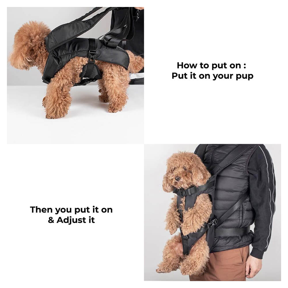 Frendorf | Hundetransporttasche Rucksack - Cockpit