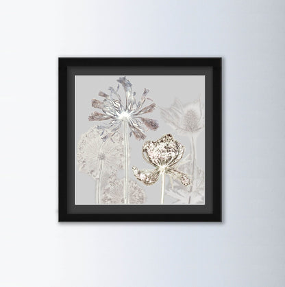 Kuh-Petersilie Blumen Kunstdruck