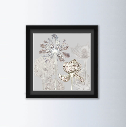 Kuh-Petersilie Blumen Kunstdruck