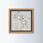 Kuh-Petersilie Blumen Kunstdruck