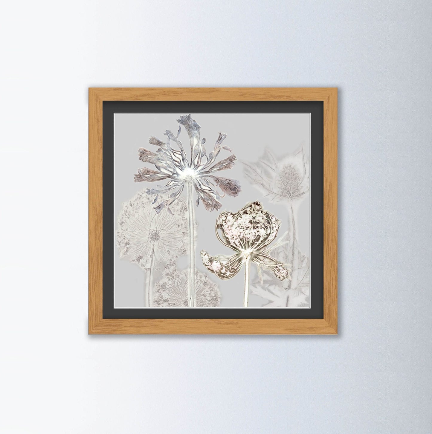 Kuh-Petersilie Blumen Kunstdruck
