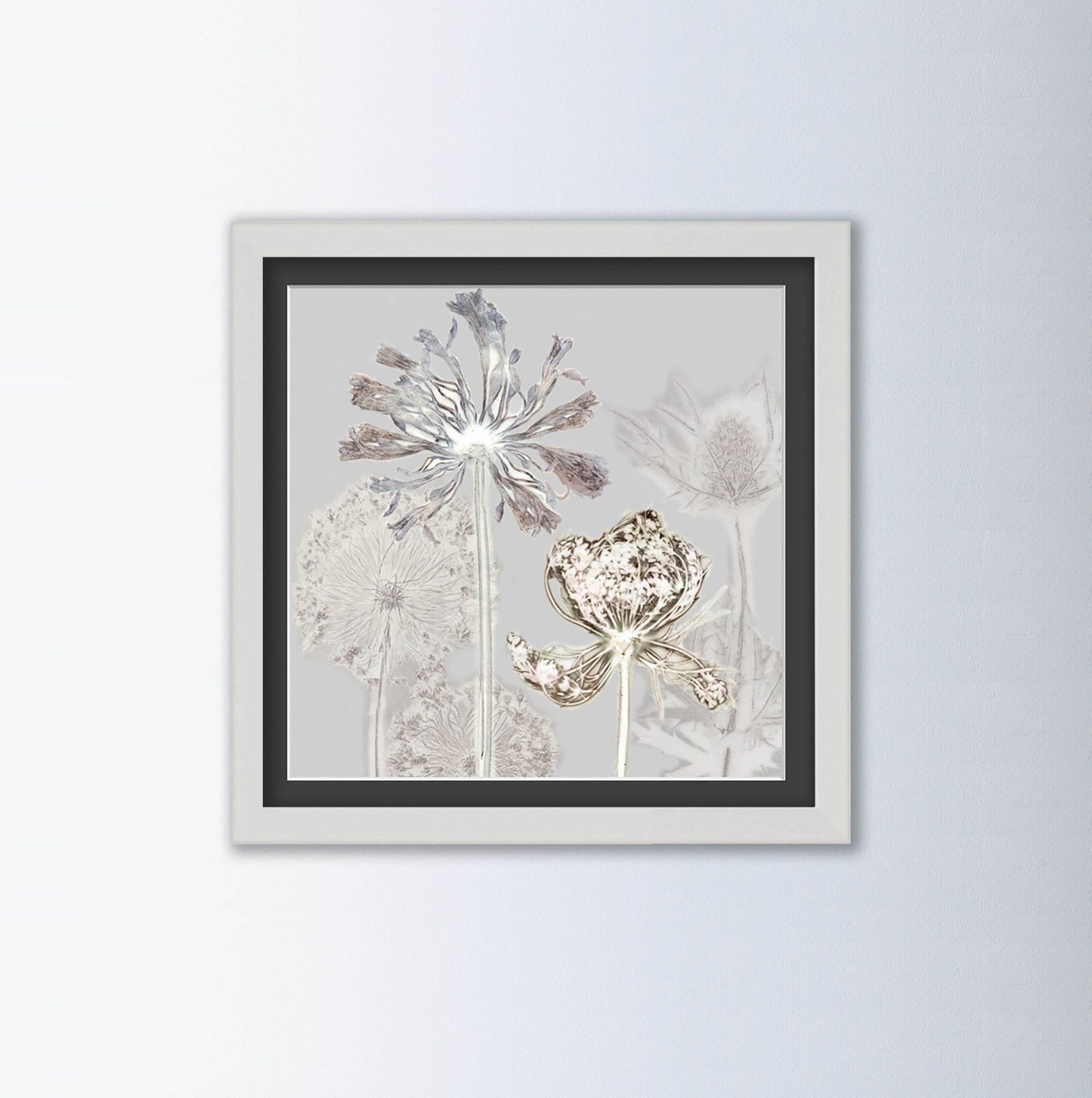 Kuh-Petersilie Blumen Kunstdruck