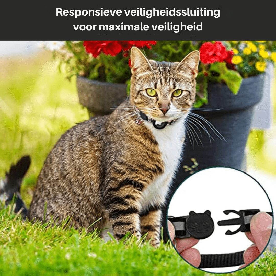 Frendorf | GPS-Tracker-Halsband für Sicherheit & Sichtbarkeit für Katzen