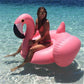 Frendorf | Aufblasbarer Schwimmender Flamingo