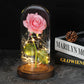 Frendorf | Ewige Rose in Glasdome | Handverlesen, LED-beleuchtet & Ideal für romantische Geschenke und Wohnkultur