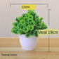 Kleine Baumtopf Bonsai Pflanzen