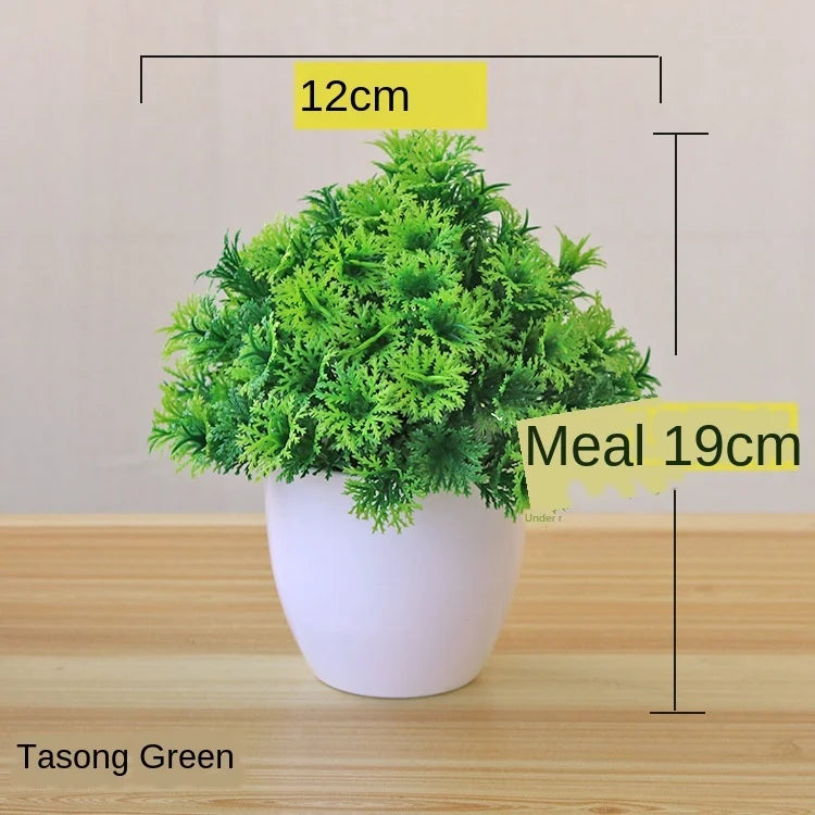 Kleine Baumtopf Bonsai Pflanzen