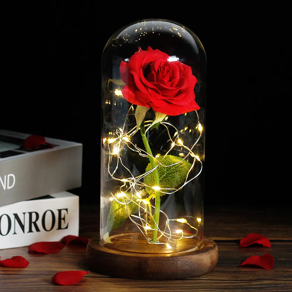 Frendorf | Ewige Rose in Glasdome | Handverlesen, LED-beleuchtet & Ideal für romantische Geschenke und Wohnkultur