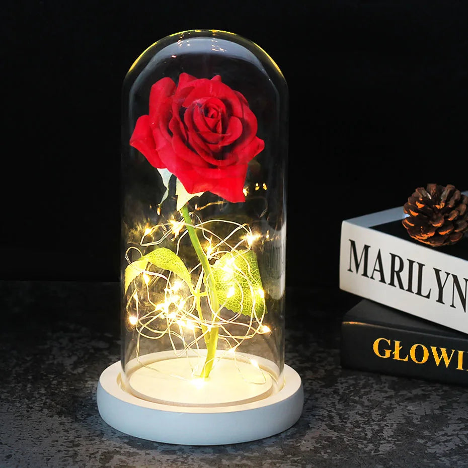 Frendorf | Ewige Rose in Glasdome | Handverlesen, LED-beleuchtet & Ideal für romantische Geschenke und Wohnkultur
