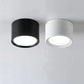 Dimmbare LED-Deckenleuchte - Nordic Aufliegender LED-Spotlight - Erhältlich in 5W, 7W, 9W, 12W, 15W