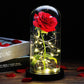Frendorf | Ewige Rose in Glasdome | Handverlesen, LED-beleuchtet & Ideal für romantische Geschenke und Wohnkultur