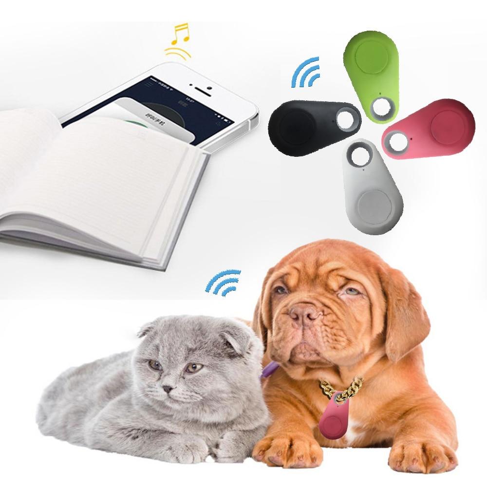 Frendorf | GPS-Tracker für Hunde & Katzen