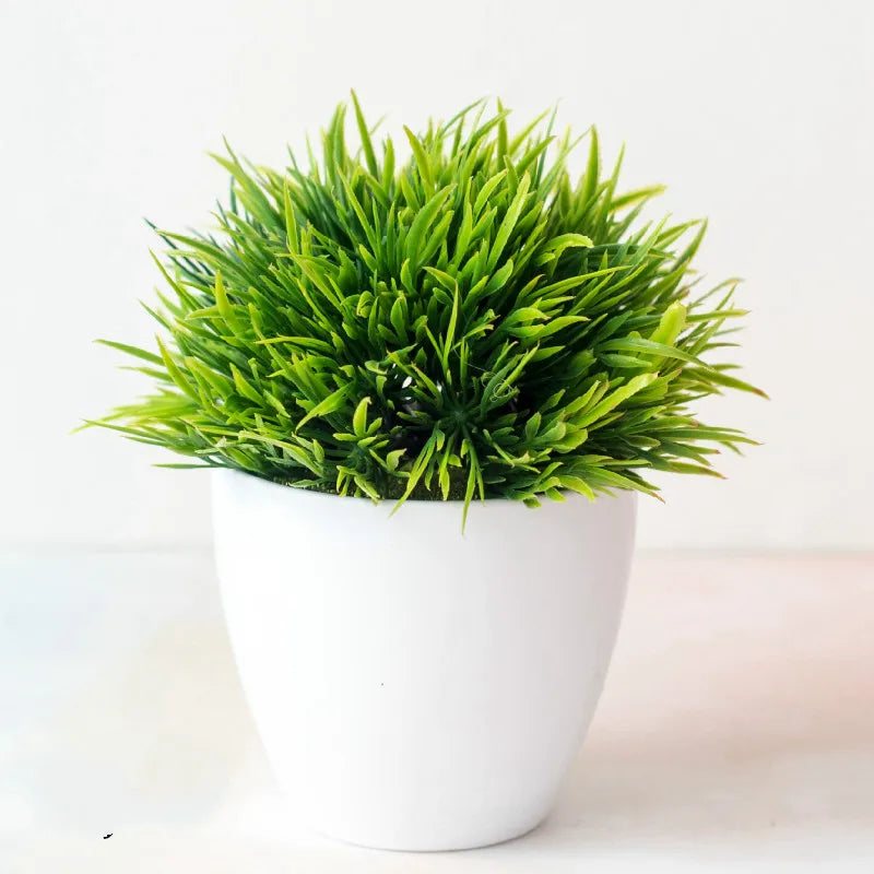 Kleine Baumtopf Bonsai Pflanzen