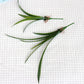 Künstliche Orchideen-Gras-Pflanzen