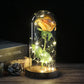 Frendorf | Ewige Rose in Glasdome | Handverlesen, LED-beleuchtet & Ideal für romantische Geschenke und Wohnkultur
