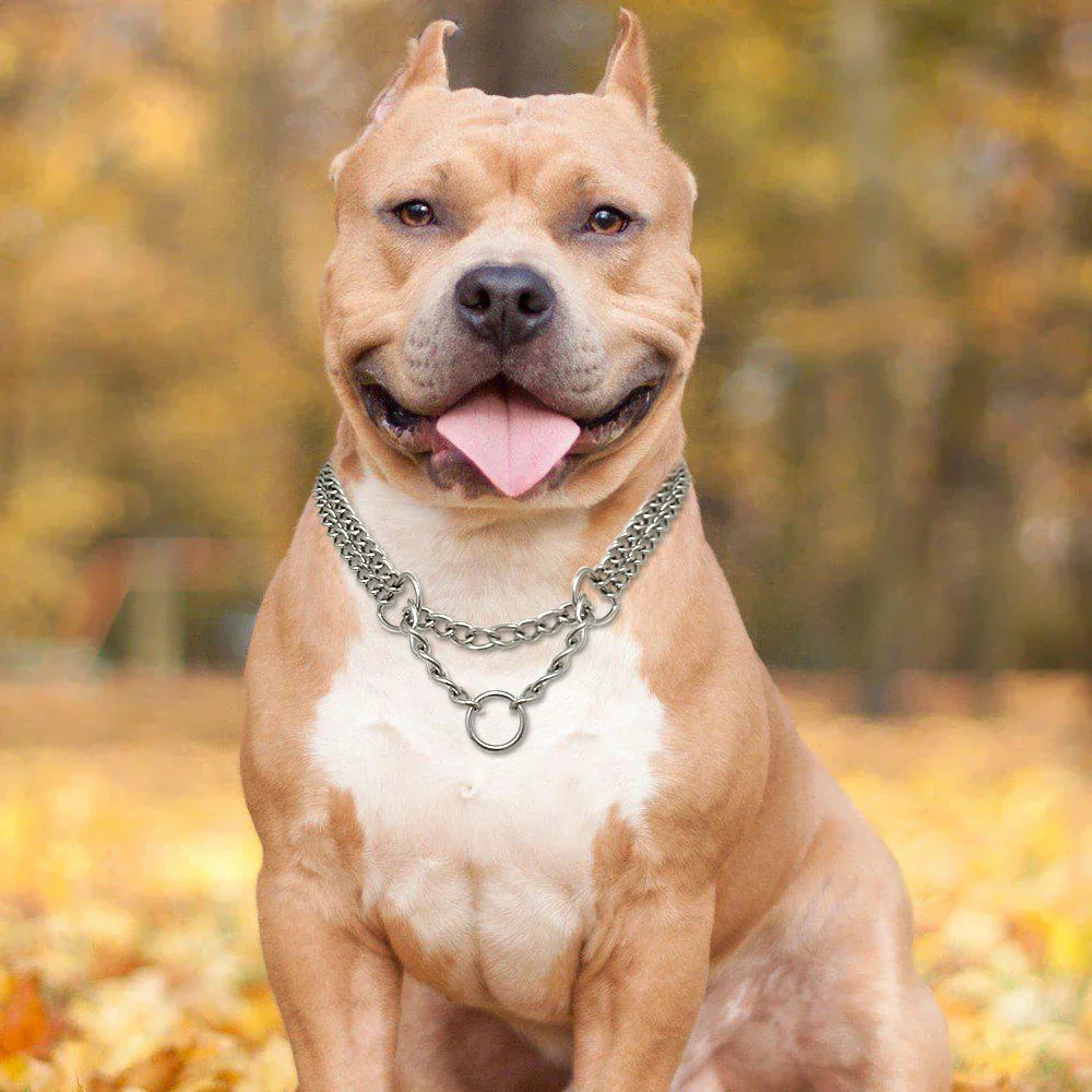 Frendorf |  Edelstahl Hundetraining-Halskette