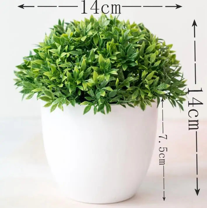 Kleine Baumtopf Bonsai Pflanzen