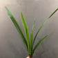Künstliche Orchideen-Gras-Pflanzen