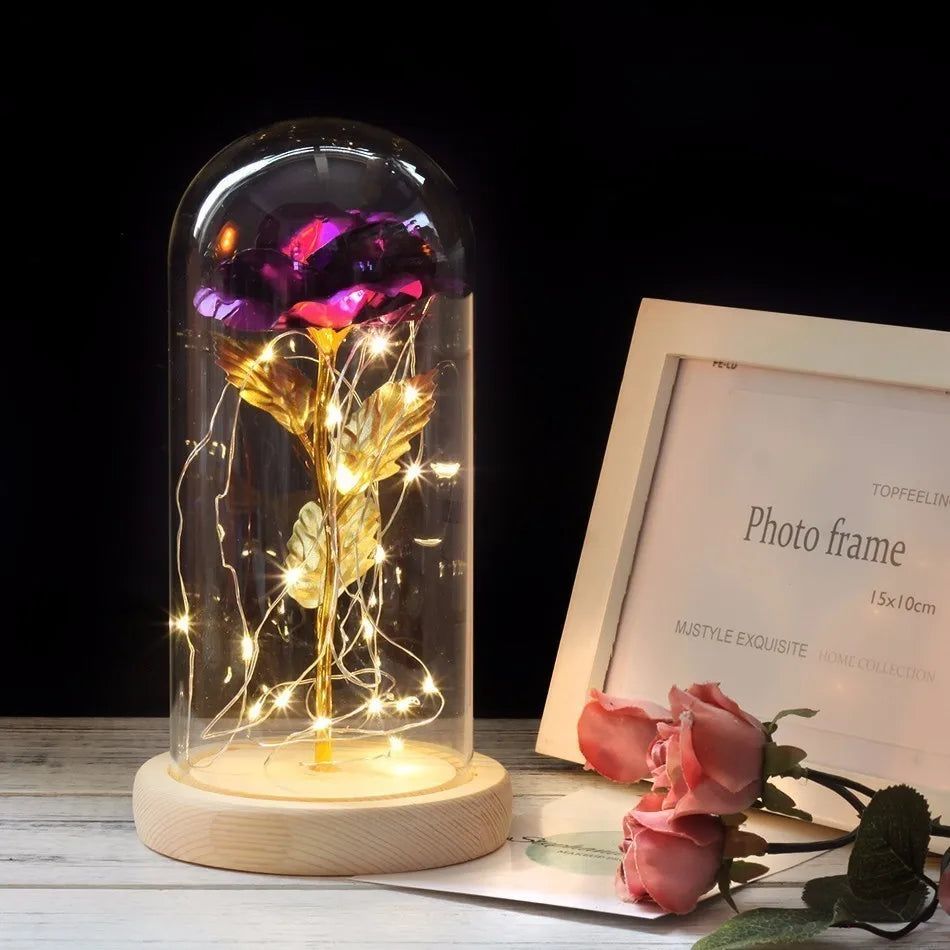 Frendorf | Ewige Rose in Glasdome | Handverlesen, LED-beleuchtet & Ideal für romantische Geschenke und Wohnkultur