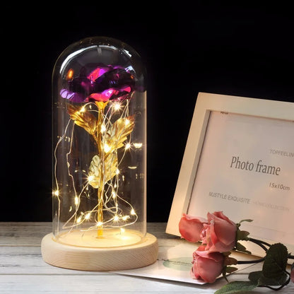 Frendorf | Ewige Rose in Glasdome | Handverlesen, LED-beleuchtet & Ideal für romantische Geschenke und Wohnkultur