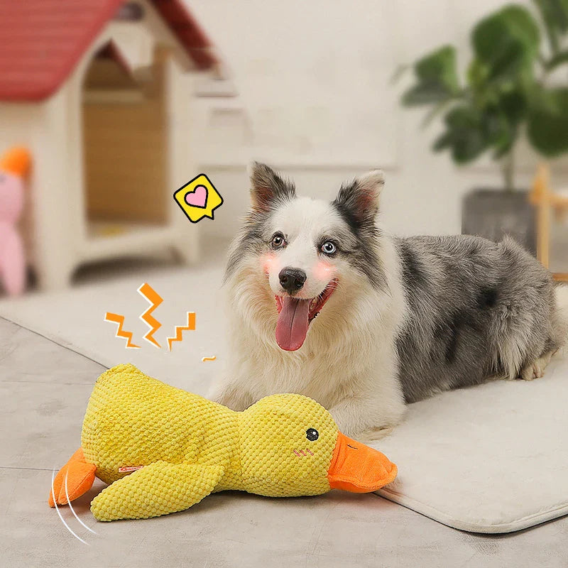 Beruhigungsente für Hunde