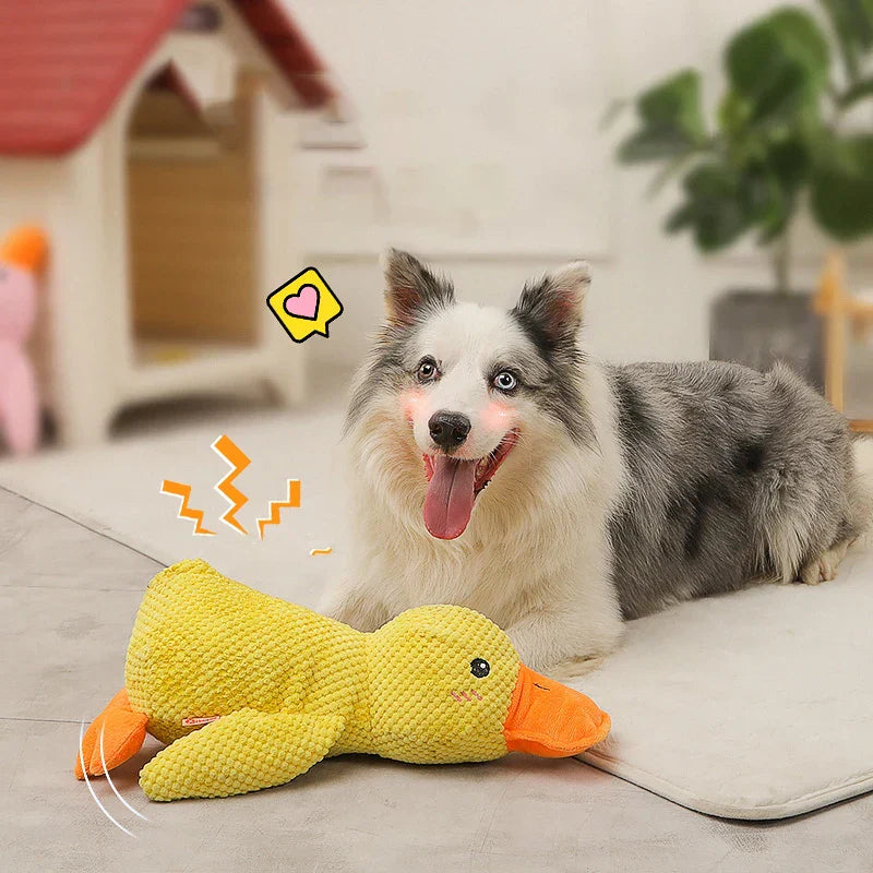 Frendorf | CalmBuddy Beruhigungsente für Hunde | Stressabbau | Spielzeug mit beruhigendem Duft | Hunde-Wohlbefinden