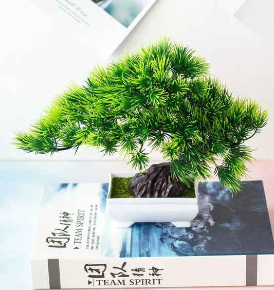 Kleine Baumtopf Bonsai Pflanzen