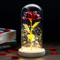 Frendorf | Ewige Rose in Glasdome | Handverlesen, LED-beleuchtet & Ideal für romantische Geschenke und Wohnkultur