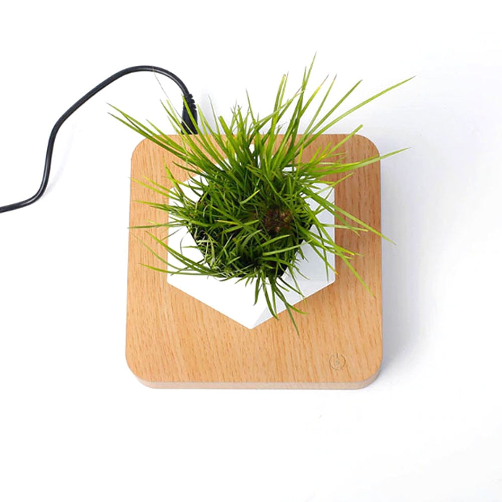 Frendorf | Elevate | New Gen Schwimmendes Pflanzgefäß