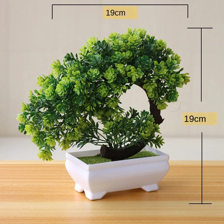 Kleine Baumtopf Bonsai Pflanzen