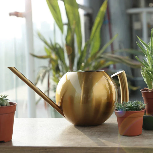 Frendorf | PlantFlow Minimalist Gießkanne | Modernes Design | Perfekt für Zimmerpflanzen