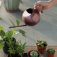 Frendorf | PlantFlow Minimalist Gießkanne | Modernes Design | Perfekt für Zimmerpflanzen