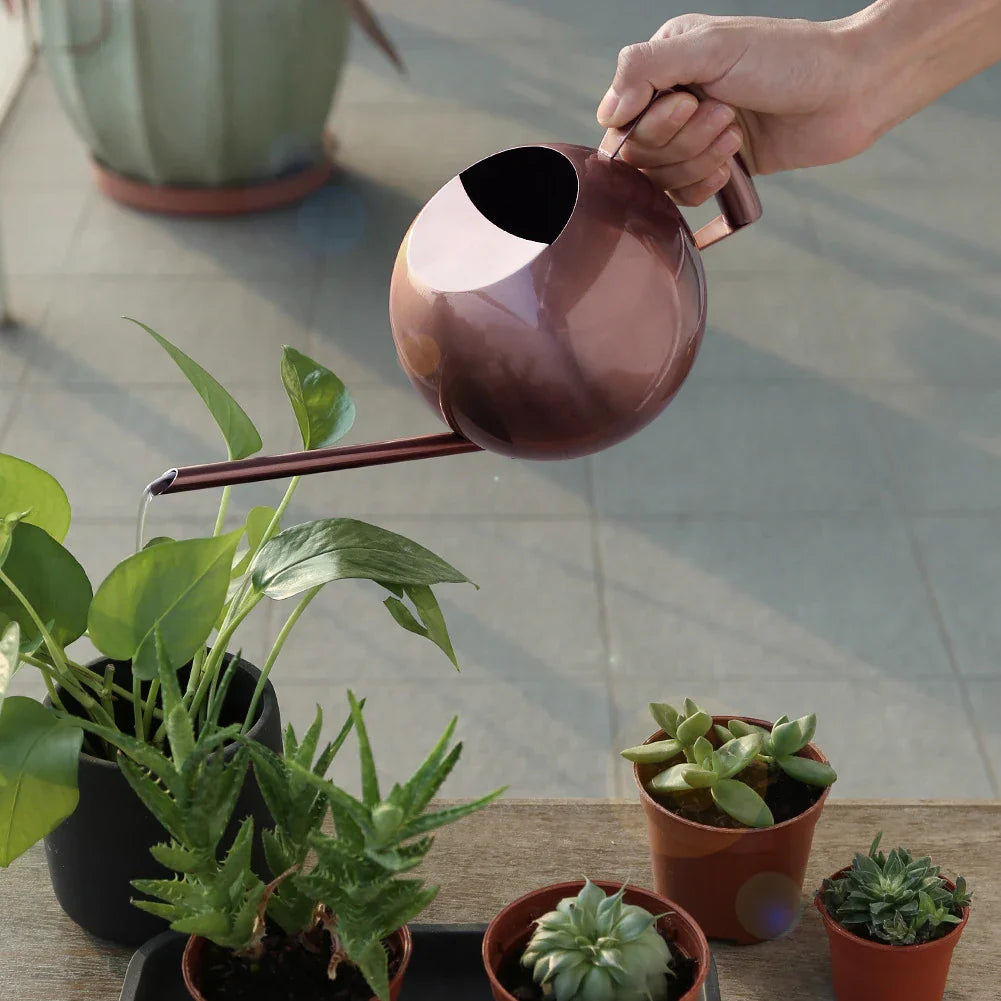 Frendorf | PlantFlow Minimalist Gießkanne | Modernes Design | Perfekt für Zimmerpflanzen