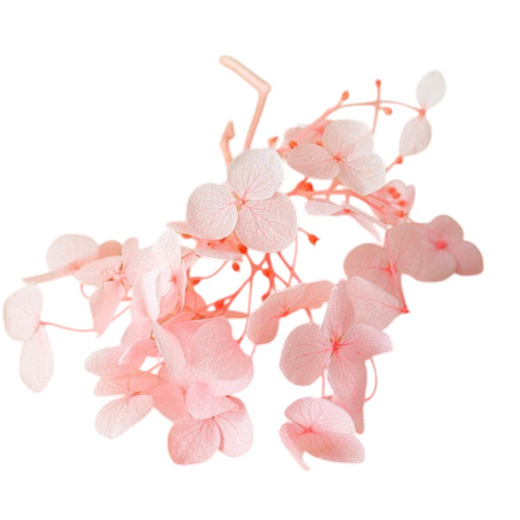 Frendorf | Hortensienblüte (leuchtendes Pink) – kräftige und lebendige Blüten, perfekt für Hochzeiten, Wohnkultur und besondere Anlässe, üppiges und volles Design verleiht jedem Raum eine lebendige und elegante Note.