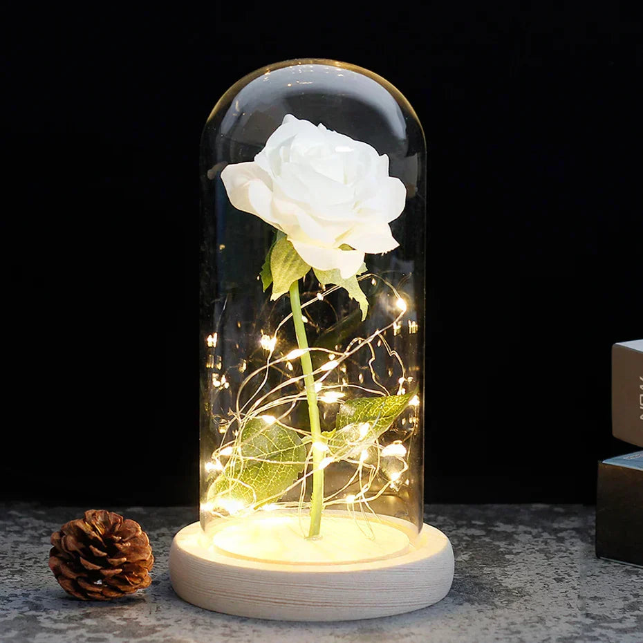 Frendorf | Ewige Rose in Glasdome | Handverlesen, LED-beleuchtet & Ideal für romantische Geschenke und Wohnkultur