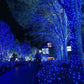 Frendorf | StarBright LED Gartenlichterkette | Festliche Beleuchtung | Warmweiß, Kaltweiß, Blau | Für Innen- & Außenbereiche
