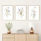 Frendorf | ArtisBloom Botanisches Aquarell Poster | Leinwanddruck mit Blumen & Blättern | Wandkunst für Wohnzimmer & Heimdekoration