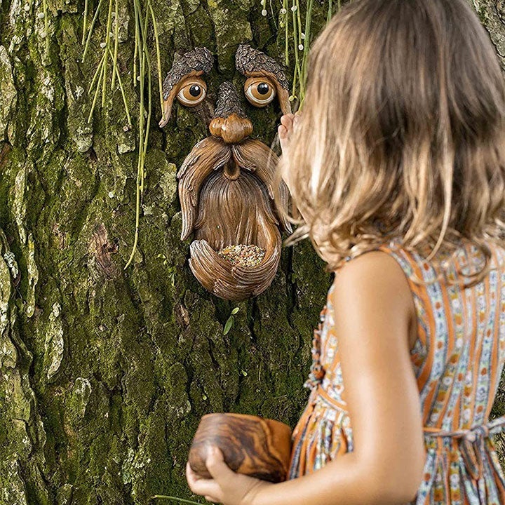 Augen der Natur: Baumgesicht Vogelfutterstation