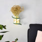 Frendorf | Nordic Unique Holz Outdoor Wandvase Lampe