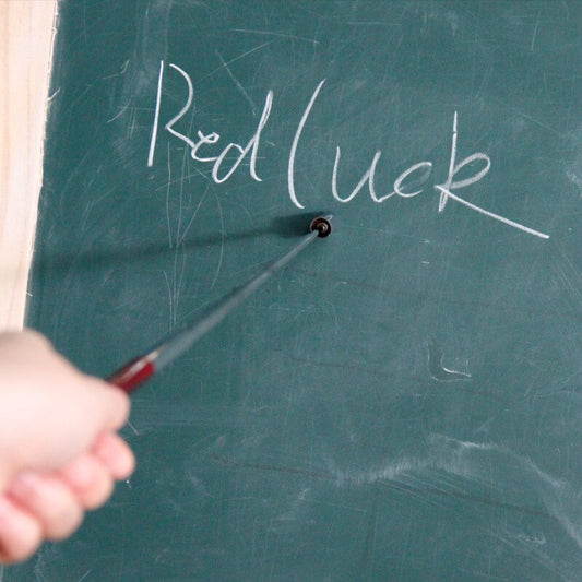 Frendorf | 2in1 Teleskop Licht Magnetischer Zeigestift