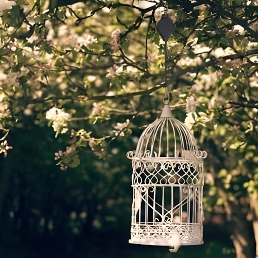 Frendorf | 1+1 GRATIS🌳Pflanzen-Flaschenzug-Set für Gartenkörbe, Töpfe, Vogelfutterspender