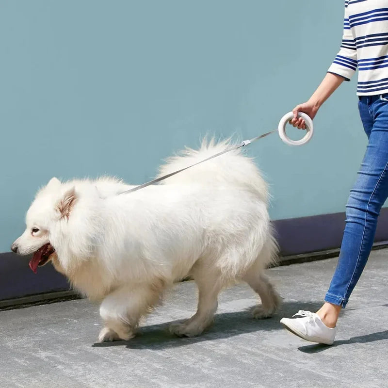 Frendorf | Hundefreund - Verstellbare intelligente Leine mit LED-Beleuchtung für sichere Spaziergänge